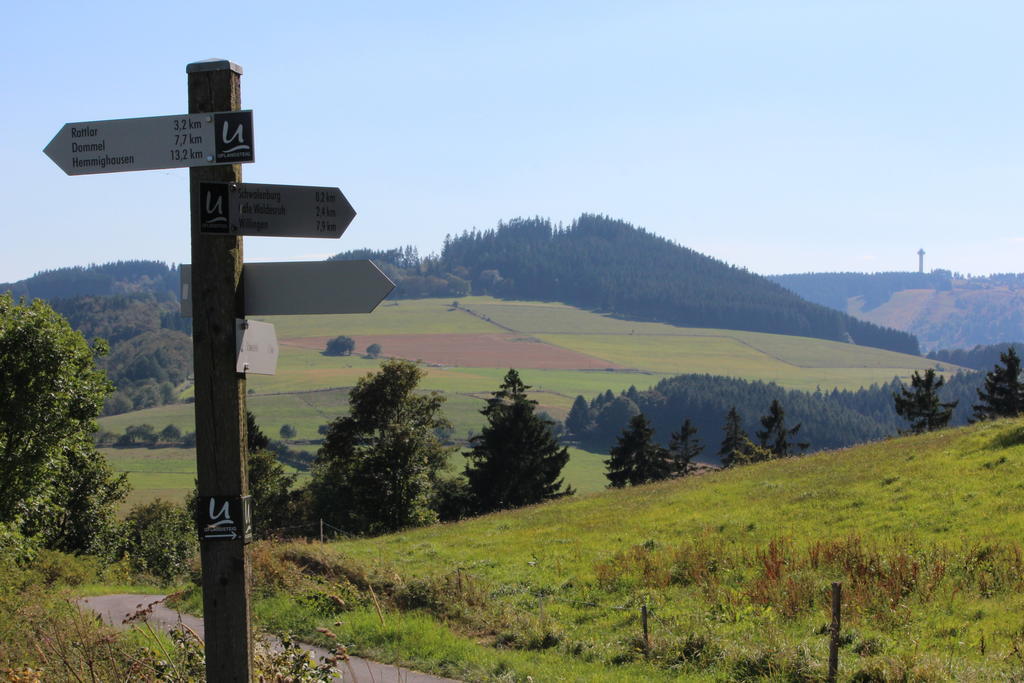 Ferienwohnung Emde Willingen  Luaran gambar
