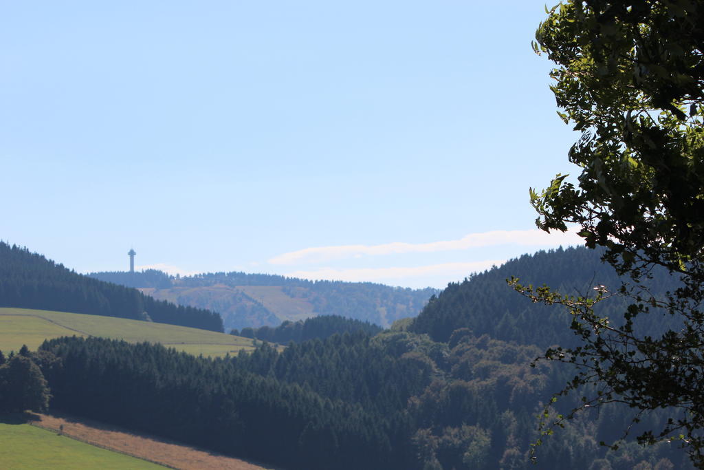 Ferienwohnung Emde Willingen  Luaran gambar