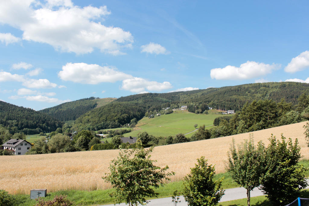 Ferienwohnung Emde Willingen  Luaran gambar