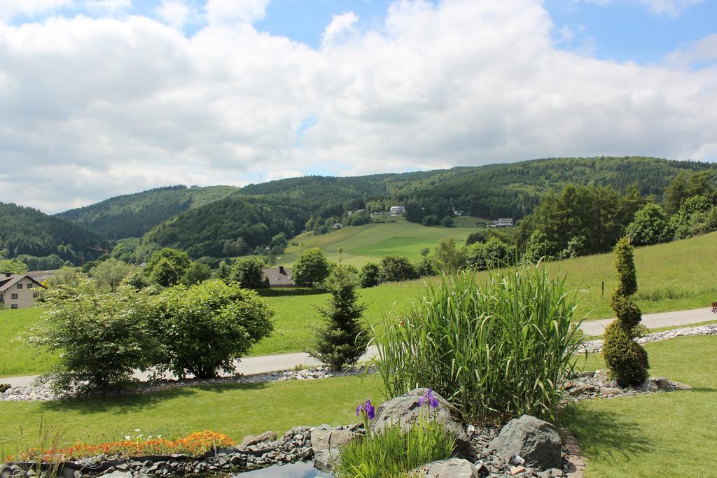 Ferienwohnung Emde Willingen  Luaran gambar