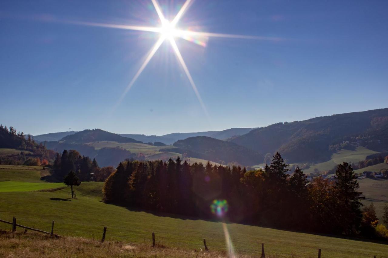 Ferienwohnung Emde Willingen  Luaran gambar