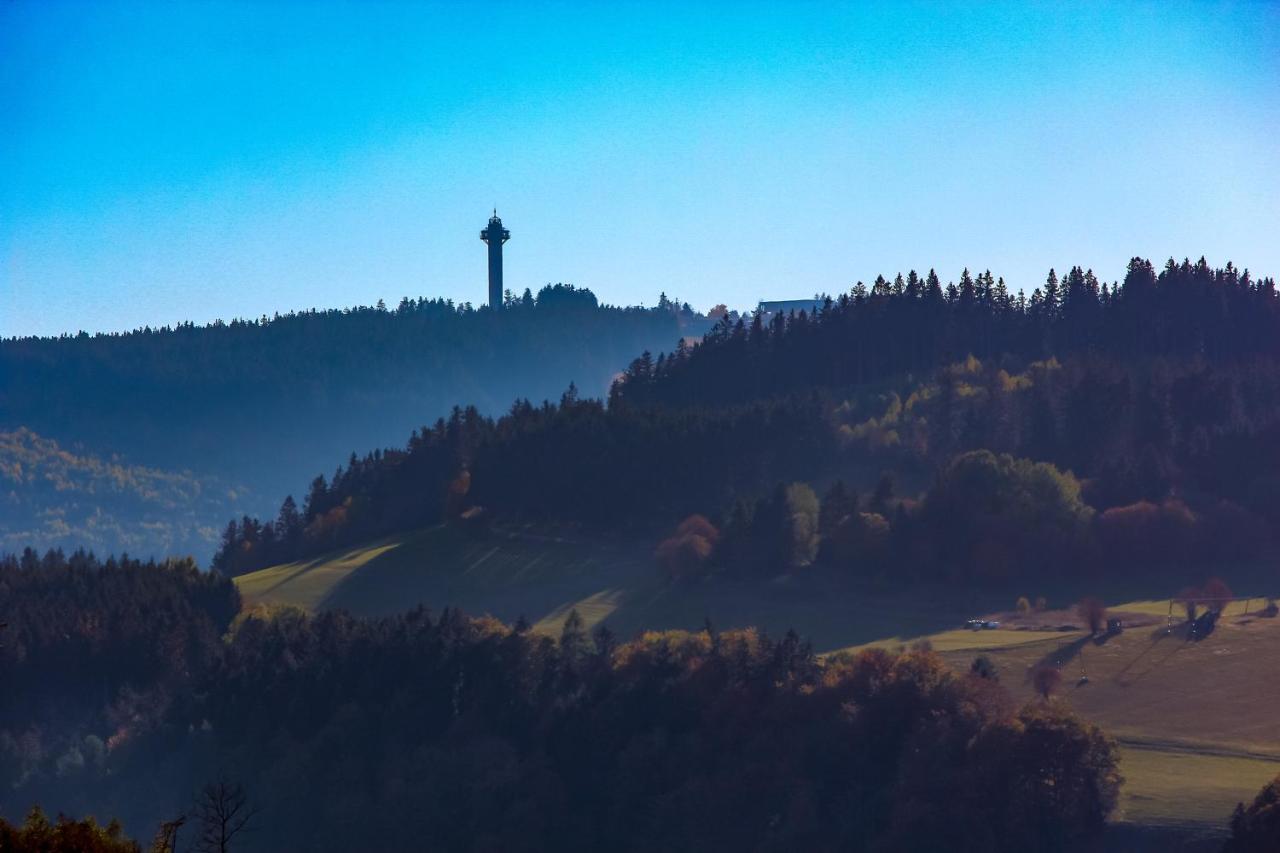 Ferienwohnung Emde Willingen  Luaran gambar
